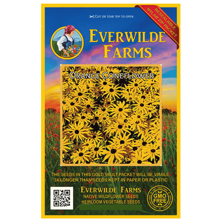 Everwilde Farms - 600 Orange Coneflower Native Wildflower Seeds - Gold Vault Jumbo Bulk Seed