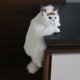 thumbnail image 5 of Juguetes de peluche, muñecos de , juguetes de peluche, almohada suave pa mascotas, 30 cm, simulación de gato, modelo de animal, decoraciones Izquierdo Colco muñeca de gato para niños, 5 of 8