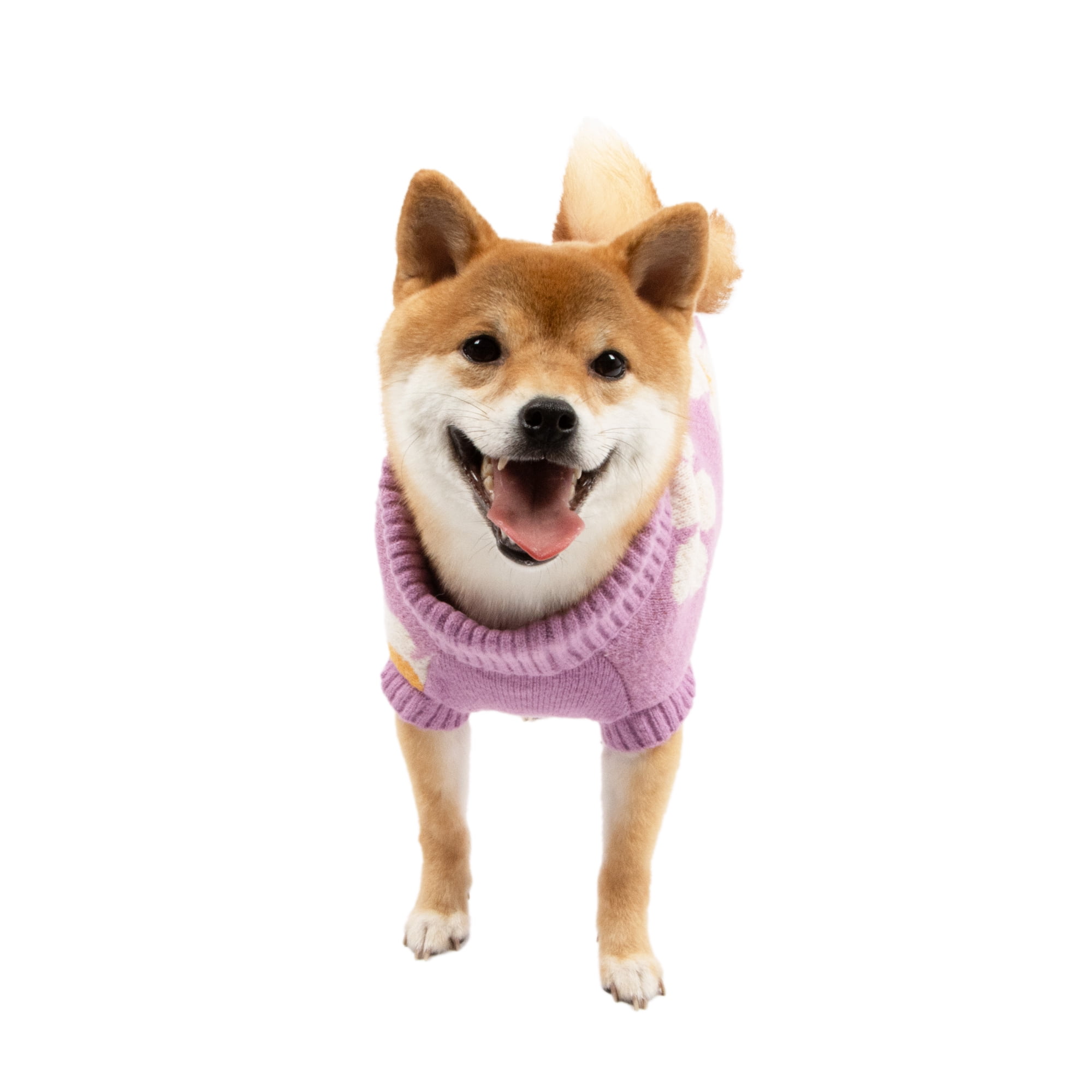 Oodles Purple Daisy Dreams Turtle Neck Fall Dog Sweater, Medium
