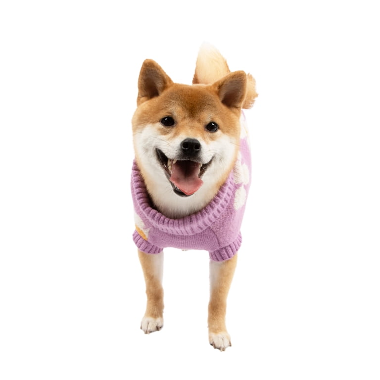 it-dogsデイジートップス　Ｍ Oodles Purple Daisy Dreams Turtle Neck Fall Dog Sweater, Medium