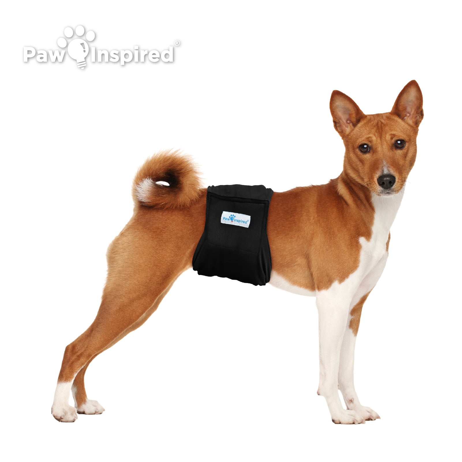 Paw Inspired Reusable Male Dog Wraps Belly Bands Diapers for Dogs| Washable Male Dog Diapers Male Doggie Puppy Pet Diapers| Dog Wrap Diaper Cover, Incontinence (Medium (3ct), Black (Black Lining))