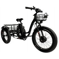 Mobility4less 48V Black Electric Tricycle with Front and Rear Carrying Basket