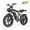 X80, variant on Jansno X80 750W Electric Bike for Adults，28 MPH with Pedal Assist，20*4.0 inch Fat Tire 52V 17Ah Battery, 60 Mile Range Full Suspension UL2849