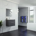 thumbnail image 2 of Eviva Galsaky 24" Grey Modern Bathroom Vanity Wall Mount with White Integrated Porcelain Sink, 2 of 7