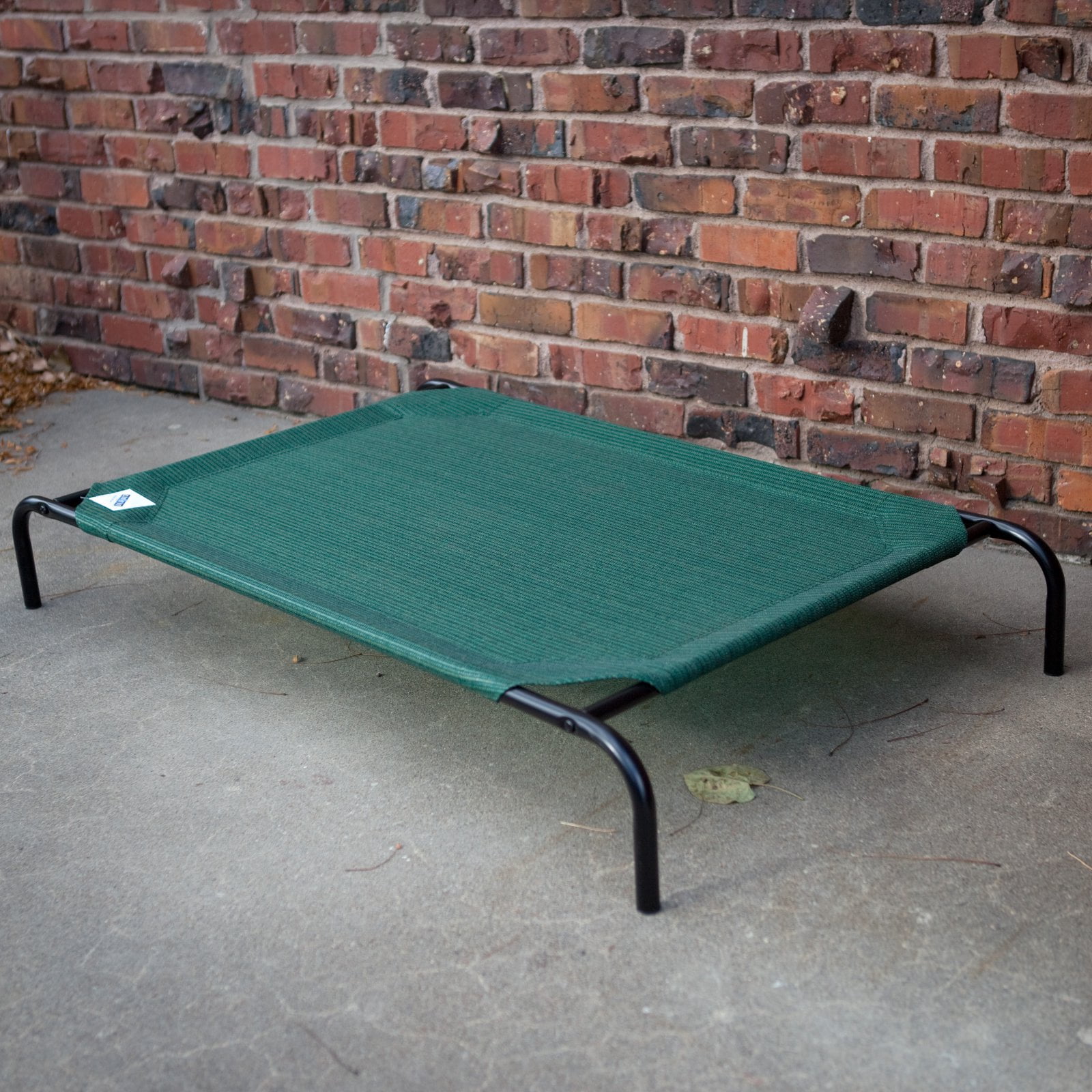 The Original Coolaroo Elevated Pet Dog Bed for Indoors & Outdoors, XL, Green
