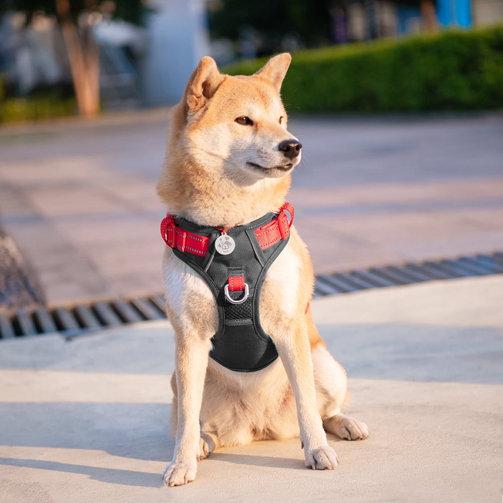 PHOEPET No Pull Dog Harness, Unique Colors Reflective Adjustable Dog Vest, with Soft Training Handle Metal Clips for Small Medium Large Dogs (Black Base & Red Straps)