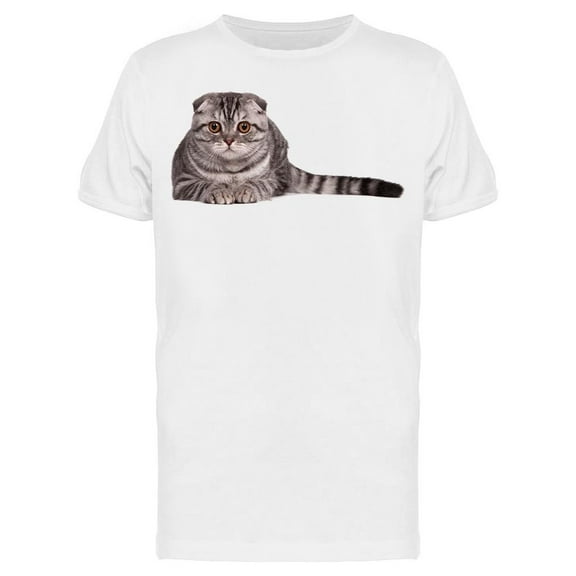 Scottish Fold Cat Lying  T-Shirt Men -Image by Shutterstock Men T-Shirt, Male Medium
