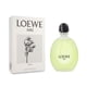 thumbnail image 1 of Aire Loco Loewe 100 Ml Edt Spray Loewe 100Ml, 1 of 3