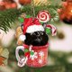 thumbnail image 3 of Adornos navideños divertidos de gato negro - Adorno colgante de decoración navideña de gato negro (gato negro) JAMW Sencillez, 3 of 4