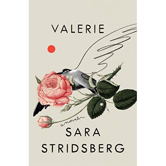 Pre-Owned Valerie: Or, the Faculty of Dreams: A Novel (Hardcover) 0374151911 9780374151911