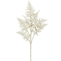 Allstate Asparagus Fern Artificial Floral Christmas Spray - 34" - Metallic Gold