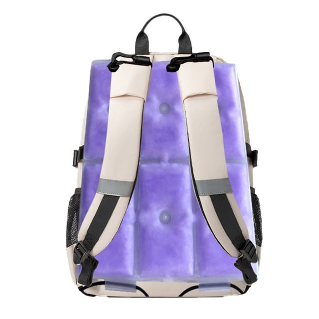 Tong Color And Style Random Summer Backpack 4 Boxes Ice Pad Ice Sensation Ice Pad Double Shoulder Backpack Ice Pad Outdoor Hiking Climbing Backpack Functional Seat Pad Pad 40ml