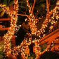 thumbnail image 4 of Luces LED solares de hadas de 10 m, 8 modelos de iluminación, impermeables, para exteriores, decoración de jardín, fiesta, Navidad, blanco cálido, 4 of 6