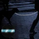 thumbnail image 4 of Correa Para Perro Con Hilo Altamente Reflectante Y Asa Acolc, 4 of 7