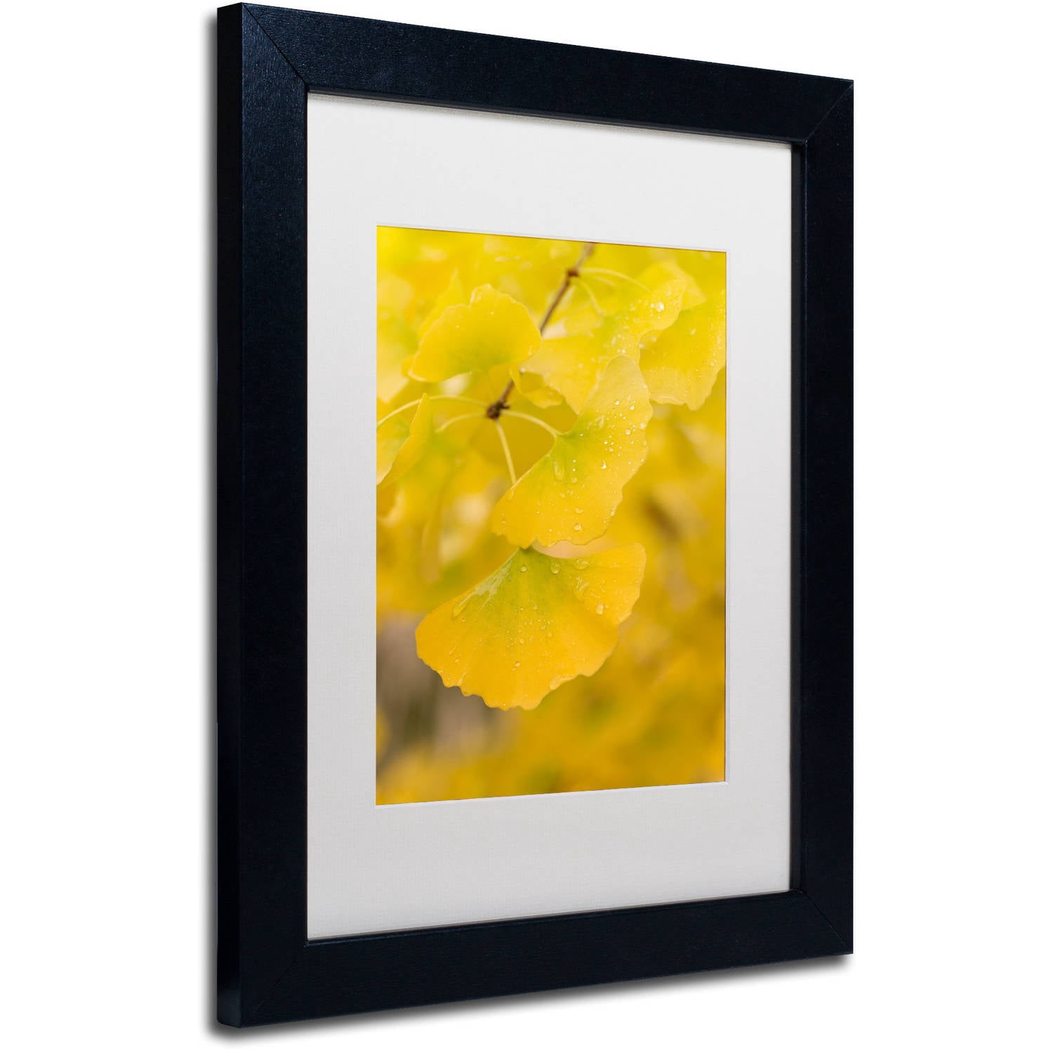 Trademark Fine Art "Millennium" Canvas Art by Philippe Sainte-Laudy White Matte, Black Frame