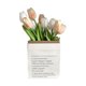 thumbnail image 1 of Artificial Flowers Tulipa Style Fine Details Colorfast Vibrant Colors Plastic Flowers for Office Living Room Photography White and Champagne, 1 of 5