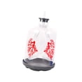 thumbnail image 4 of Lipstore Kids Teaching Lung Demonstration Model Lung Respiration Model for Kids Teens clear, 4 of 8