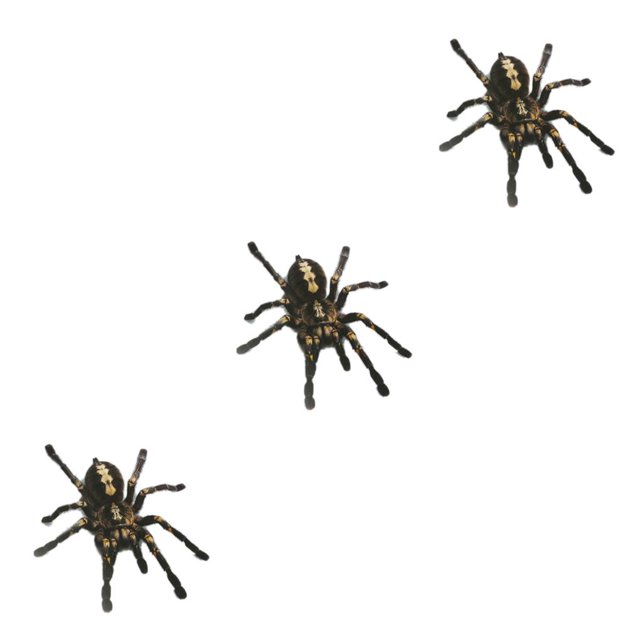Kenally 1 uds/2 uds 3D pegatina de araña divertida cabeza de coche cola personalidad pegatinas de araña decoración DIY decoración Negro 3piezas Kenally CBP062733