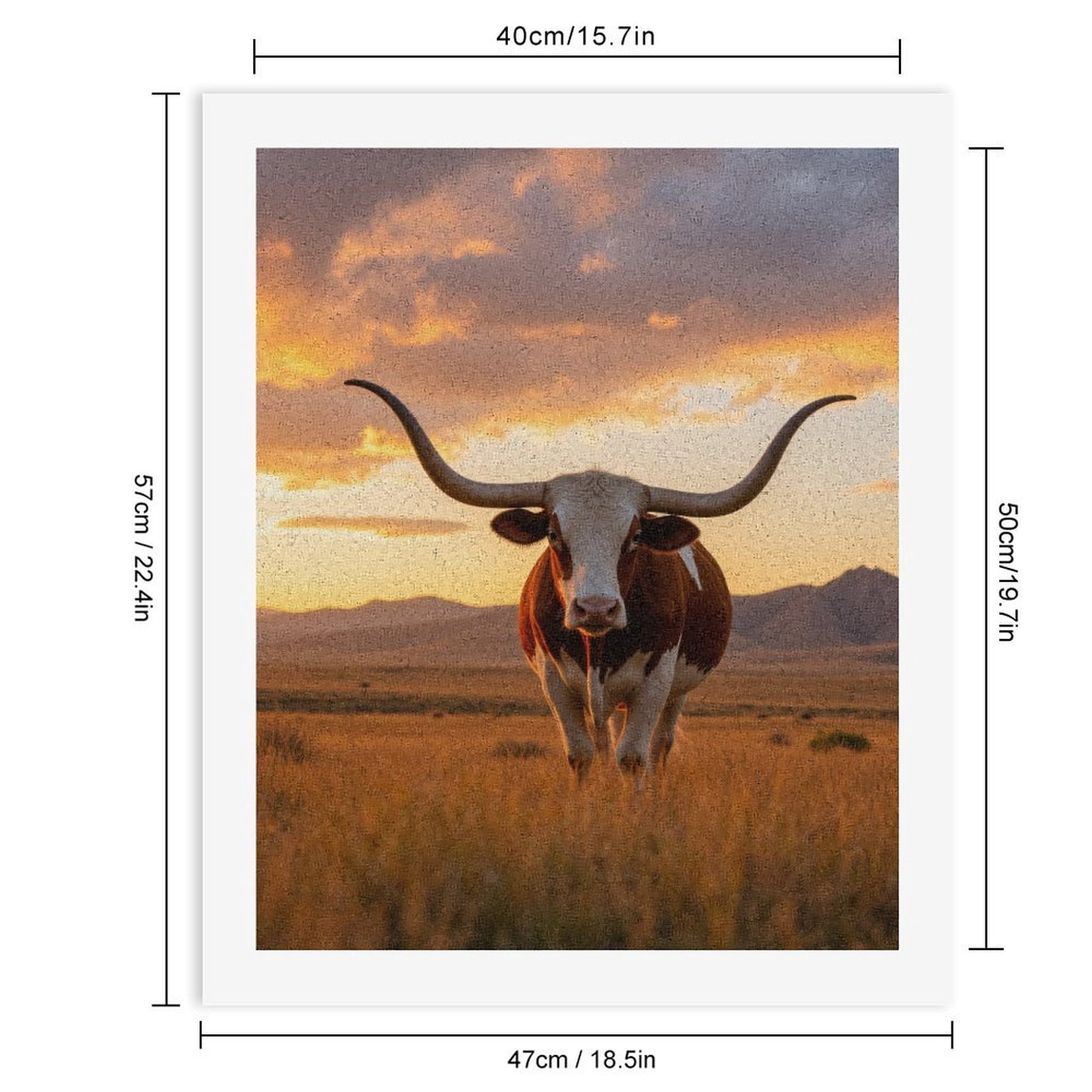 Paint by Numbers Kit for Adults, Majestic Sunset Cattle Plains Paint by Numbers, Easy Paint by Numbers Kit for Adults Beginner, DIY Adult Paint by Number Kits on Canvas, 12x16in Home Decor