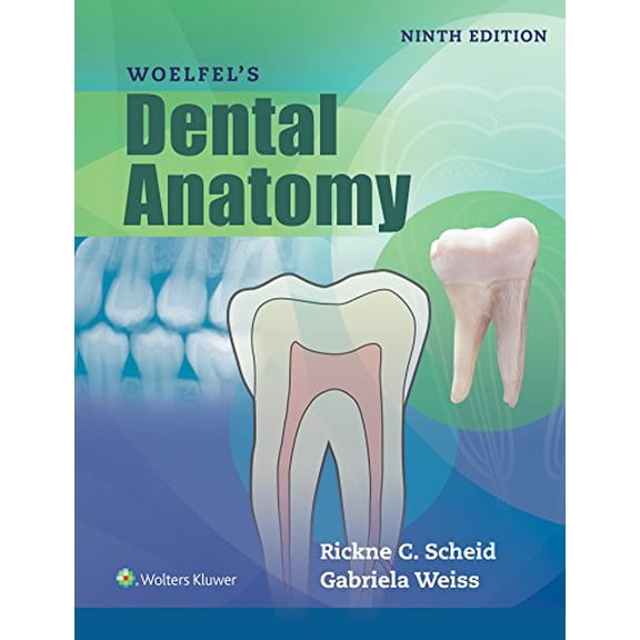 Pre-Owned Woelfels Dental Anatomy