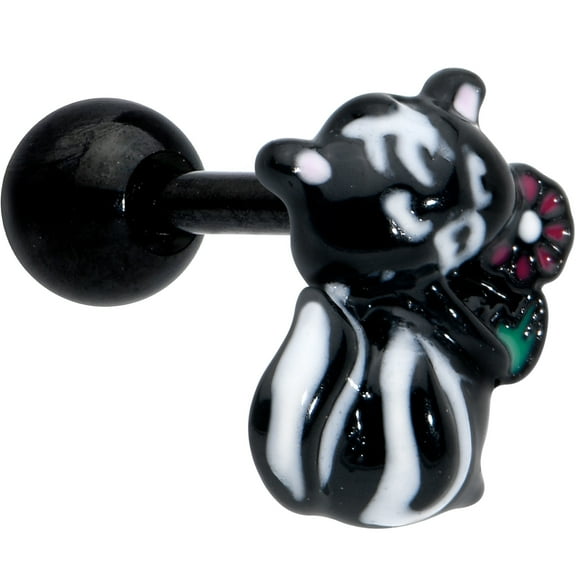 Body Candy 16G Womens 6mm Surgical Steel Black Funky Skunk Mens Cartilage Earring Helix Tragus Jewelry 1/4"