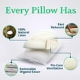 thumbnail image 5 of OrganicTextiles Talalay Latex Pillow with Organic Cotton Cover (King Size, Soft), GOTS Certified, Bed Pillow for Sleeping, Neck Pain Relief Help, Head Support, for Side Back Stomach Sleeper, 5 of 9