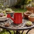 thumbnail image 6 of CoreLiving Indoor Outdoor Watering Can for Plants and Flowers, Red Iron Watering Pot with Spray Function for Garden Home and Bonsai Care, 6 of 8