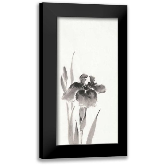 Paschke, Chris 9x14 Black Modern Framed Museum Art Print Titled - Japanese Iris III