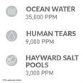 thumbnail image 2 of Hayward AquaRite® Chlorateurs au Sel - W3AQR15CUL, 2 of 2