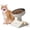 white, variant on Elevated Dog Bowls for Small Medium Dogs and cats, 3 Height Adjustable Raised Stand with 304 Stainless Steel Food Bowls