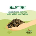 thumbnail image 6 of Manna Pro Farmhouse Favorites Chicken Treats - Triple Bug Mix  - 1 Bag - 2lb, 6 of 7
