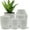 White, variant on Campior Plastic Plant Pots with Drainage, Stackable Design for Indoor/Outdoor Use, Pack of 5, Black