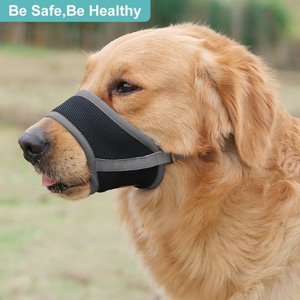 Muzzle for clearance medium sized dog