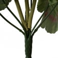 thumbnail image 4 of Vickerman Artificial 20" White Geranium Bush, 4 per Pack., 4 of 5