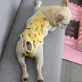 thumbnail image 3 of Reusable Washable Dog Sanitary Underwear with Adjustable Fit for Menstrual Protection Indoor Use Soft Comfortable Fabric, 3 of 5