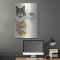 thumbnail image 5 of Luxe Metal Art 'American Shorthair 2' by Barbara Keith, Metal Wall Art, 24"x36", 5 of 9