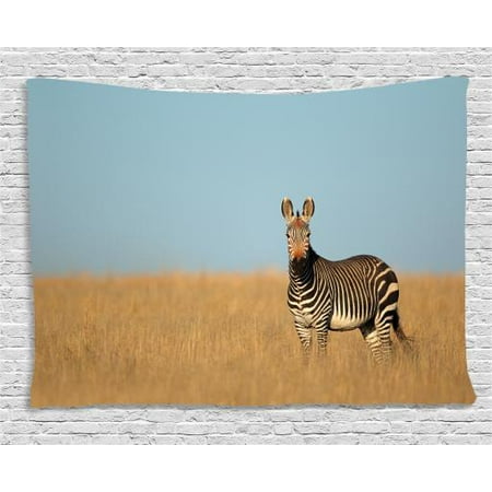 Wildlife Tapestry, Cape Mountain Zebra National Park South Africa Endangered Species Dried Grass, Wall Hanging for Bedroom Living Room Dorm Decor, 60W X 40L Inches, Multicolor, by