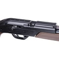 thumbnail image 4 of Crosman 760 Pumpmaster 177 cal, 645FPS, Variable Pump Air Rifle, Dual Ammo, 4 of 6