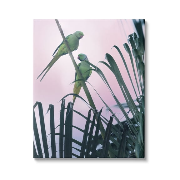 Stupell Industries Tropical Parakeets Pink Sky Animals & Insects Photography Gallery Wrapped Canvas Print Wall Art