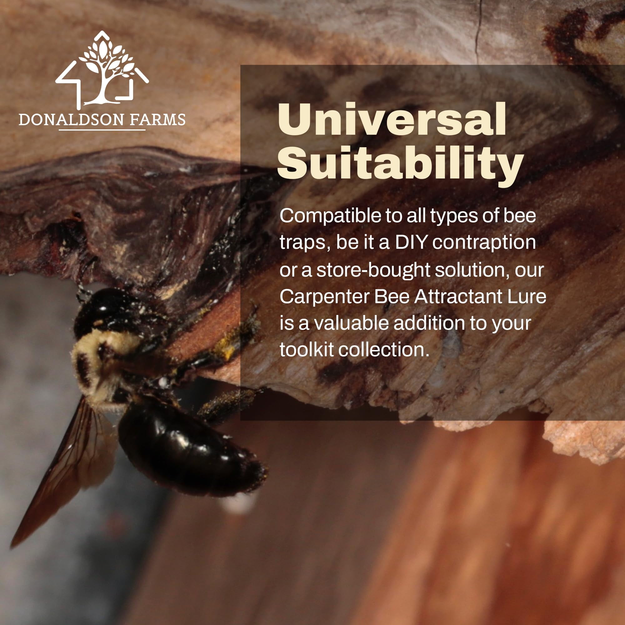 Donaldson Farms Outdoor All Natural Carpenter Bees Trap Liquid, 2 oz