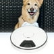thumbnail image 4 of Dispensador Automático De Alimentos Para Perros ANGGREK Otros, 4 of 8