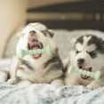 thumbnail image 3 of Juguetes Para Masticar Cachorros Cepillo De Dientes Para Mascotas Juguetes Interactivos Para Perros Cuidado Dental Juguete Para La Dentición Suministros Para Mascotas Minnieouse  PT002648-02, 3 of 6