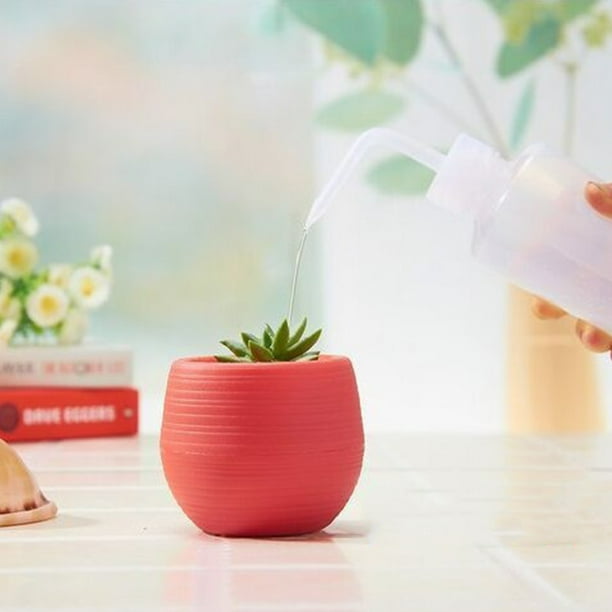 Maceta de plástico, maceta suculenta, mini maceta para plántulas, maceta suculenta hecha a mano con cuidado