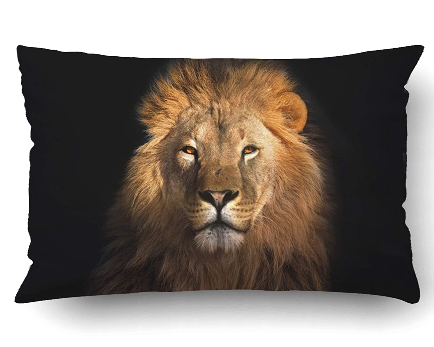 ARTJIA Lion King Isolated On Black Pillowcase Pillow Cushion Cover