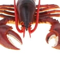 thumbnail image 3 of Realistic Red Lobster Action Figure, Animal Model Figurine Kids Learning Toy Gift, Home Decor, 3 of 8