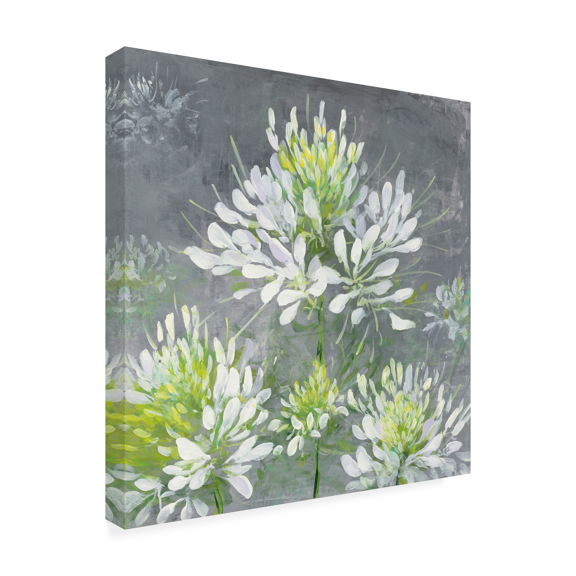 Trademark Fine Art 'Farmhouse Cleome I' Canvas Art by Julia Purinton