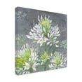 thumbnail image 2 of Trademark Fine Art 'Farmhouse Cleome I' Canvas Art by Julia Purinton, 2 of 3