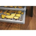 thumbnail image 3 of Guide Gear 5-Tray Heavy-Duty Food Dehydrator Machine for Beef Jerky, Meat, Fruit, Dog Treats, Herbs Dryer, Digital Temperature Control, 3 of 11