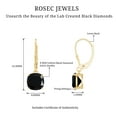 thumbnail image 6 of Rosec Jewels Lab Created Black Diamond Solitaire Drop Earrings for Women - AAAA Quality, 14K Yellow Gold, 6 of 7