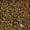 Bronze, variant on Diamond Dotz 2.8MM 12G Single Cylinder (1 Pack) Bronze - Freestyle Diamond Painting Beads, Diamond Art Beads, Replacement Drills, Loose Gems for DIY Crafts and Art Projects
